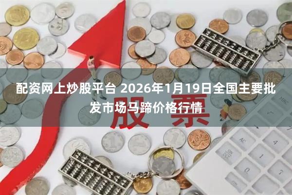 配资网上炒股平台 2026年1月19日全国主要批发市场马蹄价格行情