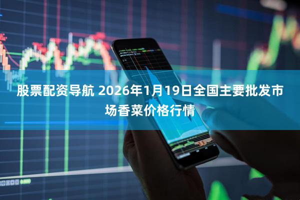 股票配资导航 2026年1月19日全国主要批发市场香菜价格行情