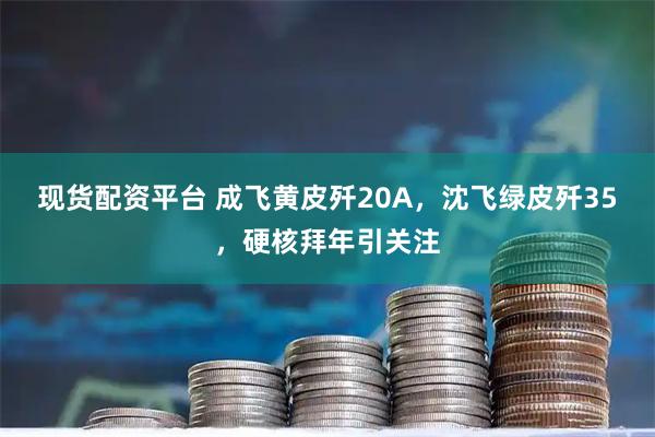 现货配资平台 成飞黄皮歼20A，沈飞绿皮歼35，硬核拜年引关注